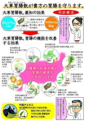 胃腸薬販売マニュアルチラシ