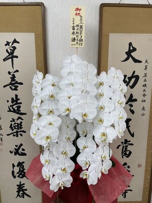 IMG_1777.jpeg